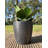 Amsterdan Pot Planter-50341599-50346400