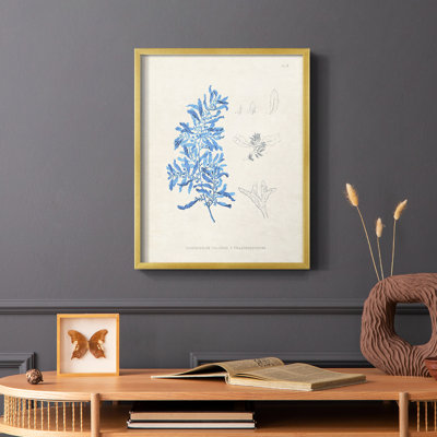 «Blue Marine Algae VI», reproduction encadrée - bois massif