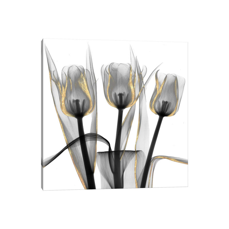 Gold Embellished Tulips IV by Albert Koetsier - Wrapped Canvas Print, 30.48 cm H x 30.48 cm W