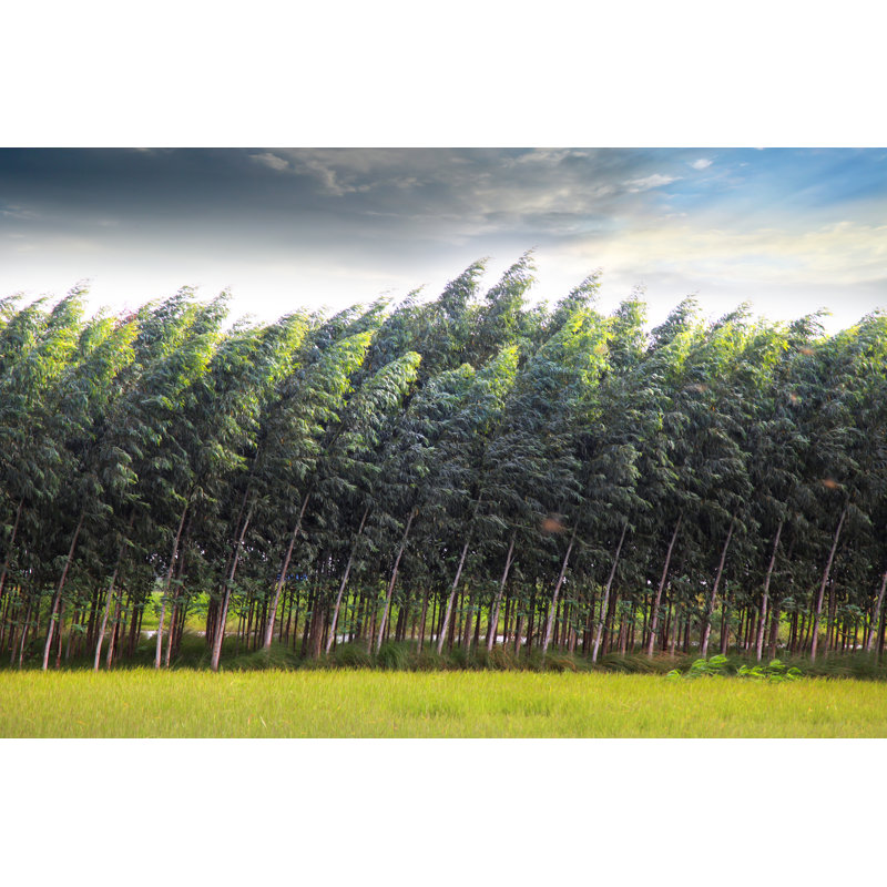 Paysage naturel par Pixelfusion3D, H 8 po x l 12 po