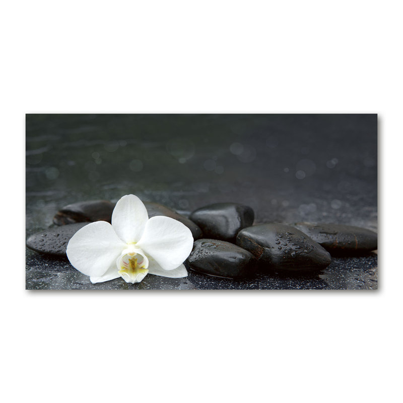 Orchid - Wrapped Canvas Print, Canvas, 50cm H x 100cm W