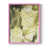 Rose n'est pas disponible