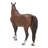 Standing Horse