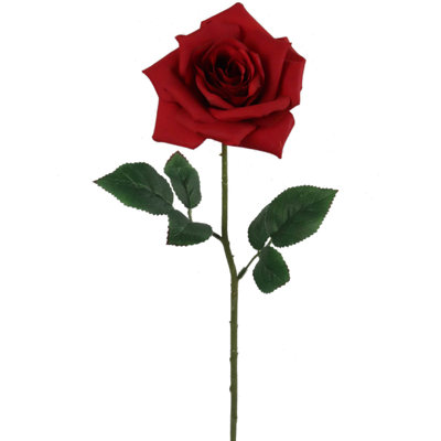 Tige de roses