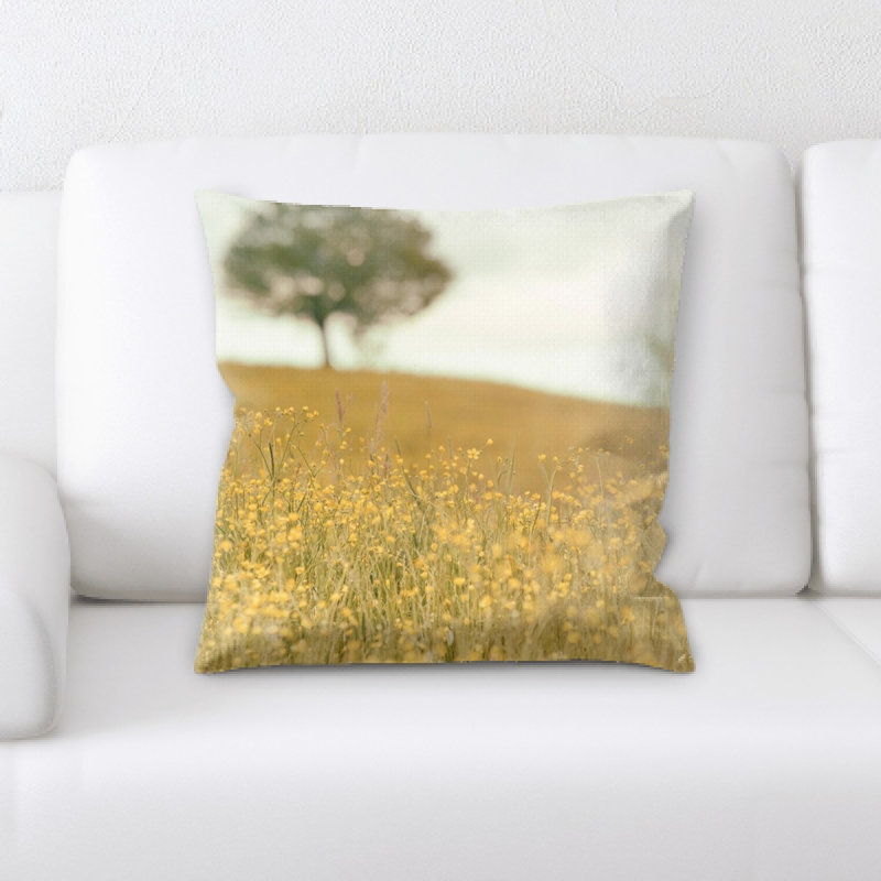 Coussin décoratif flou