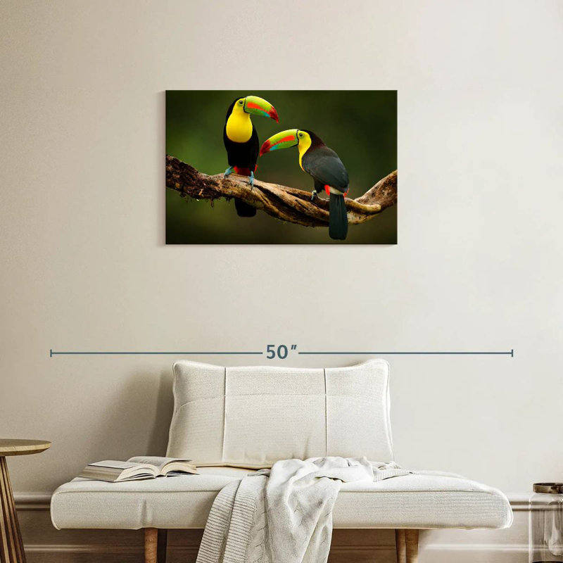 Toucans Brampt sur une branche, H 20 po x l 30 po