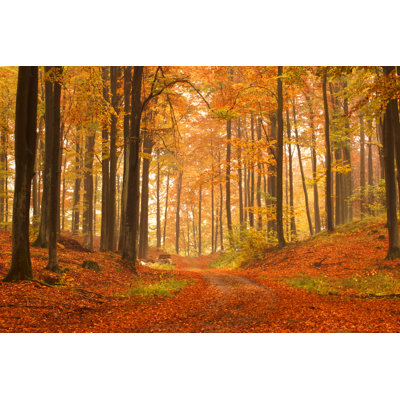 Anfal " Autumn Forest " by Narloch-Liberra