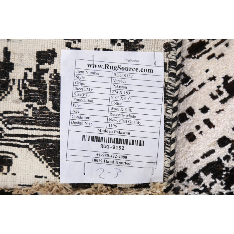 Tapis oriental unique patiné noué à la main 6 pi x 9 pi Versace