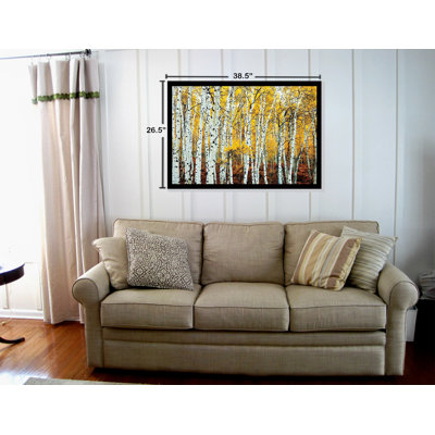 « aspen oliveraies bouleau trees forrest », reproduction de photo encadrée