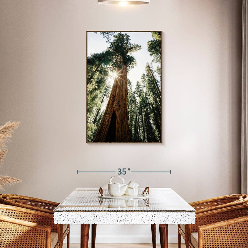 Arbre général Sherman ensoleillé, 29" x 43", Cadre flottant noyer