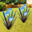 Agave en métal-29420697