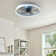 Dukens Ceiling Fan with LED Lights