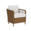 Visions Outdoor Dining Armchair-68895210-94026025
