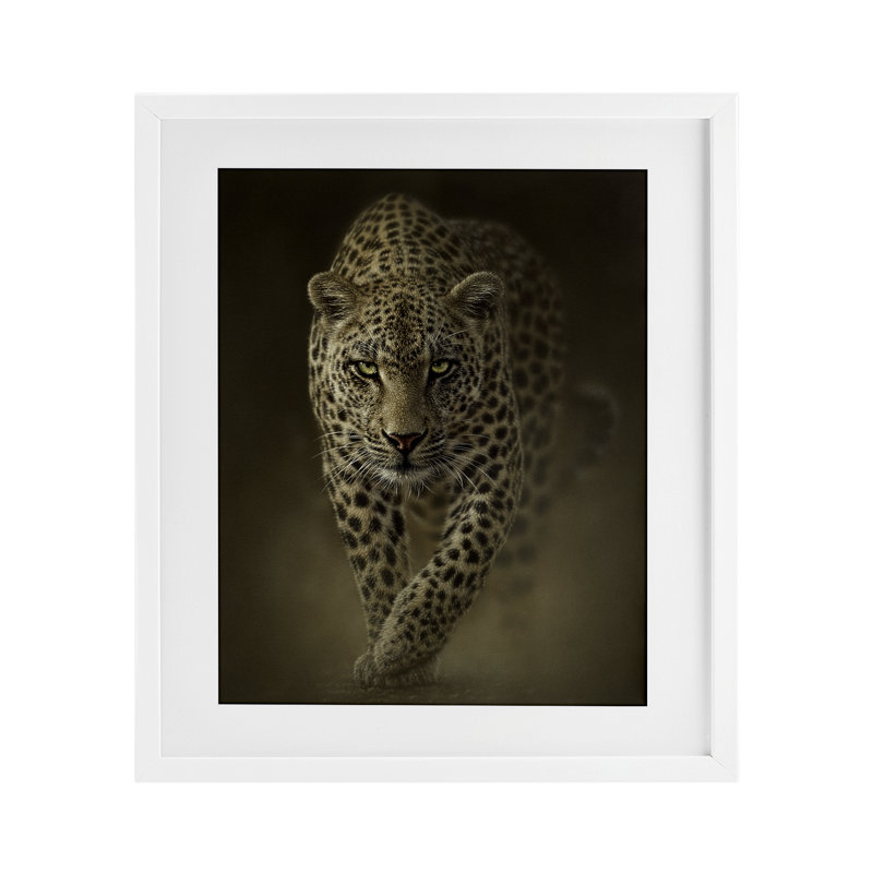 «Savage Leopard prédateur», reproduction encadrée sous verre, H 16 po x l 13 po, Cadre blanc côtier