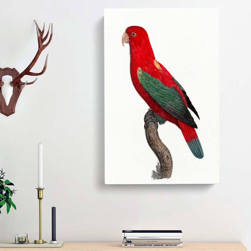 Chattering Lory by F. Levaillant - Wrapped Canvas, 76cm H x 50cm W x 3cm D