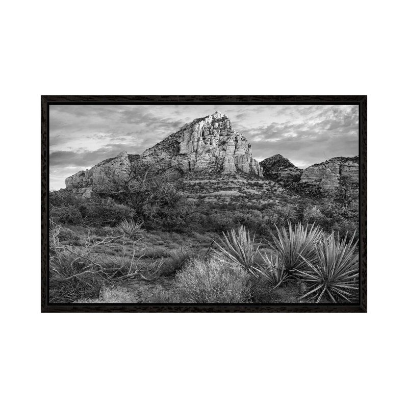 Narrow Leaf Agaves And Thunder Mountain, Coconino National Forest, Near Sedona Arizona by Tim Fitzharris - Gallery-Wrapped Canvas Giclée on Canvas