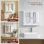 57cm x 47cm Surface Mount Mirror Cabinet-51384355