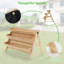 Buetti Wood Vertical Garden