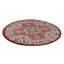 Oriental Area Rug-73074092