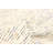 Sienna Cream Rug 4'11" x 7'10"