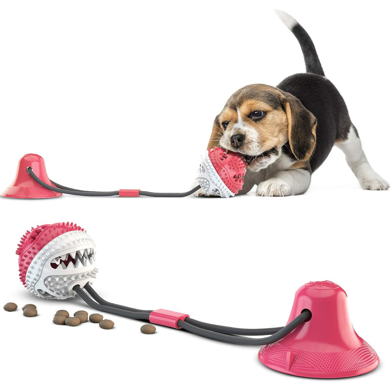 Jouet à mâcher avec brosse à dents APF Series