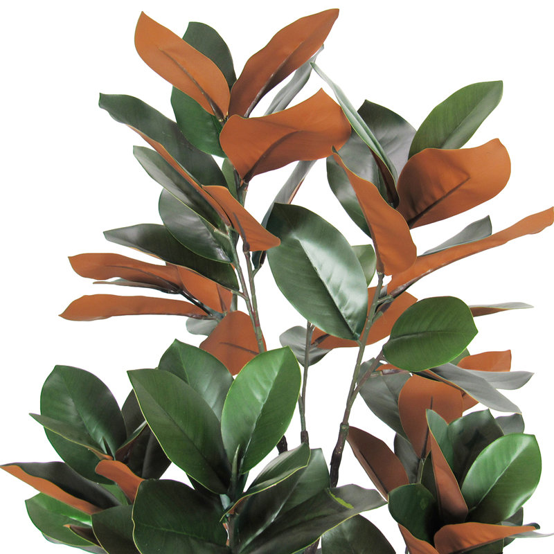 Arbre à feuilles de magnolia en pot Thora, H 60 po x l 25 po x P 25 po