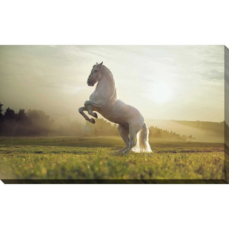 « stallion ii », reproduction de photo sur toile tendue, H 18 po x l 30 po x P 1 po