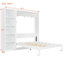 Lit escamotable escamotable mural - lattes flexibles, mécanisme à double piston, tablette réversible-1294641557