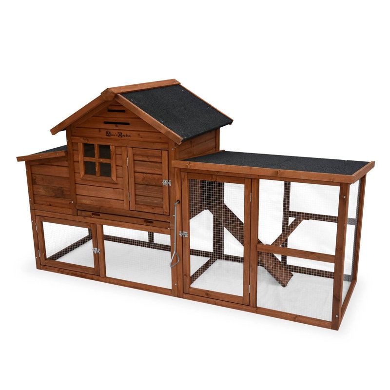 Bernice Chicken Coop with Chicken Run