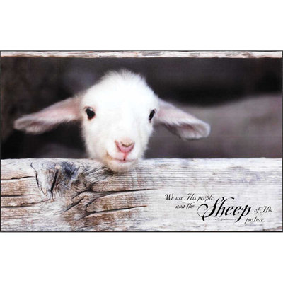 « agneau-we is my people », reproduction d’impression sur bois