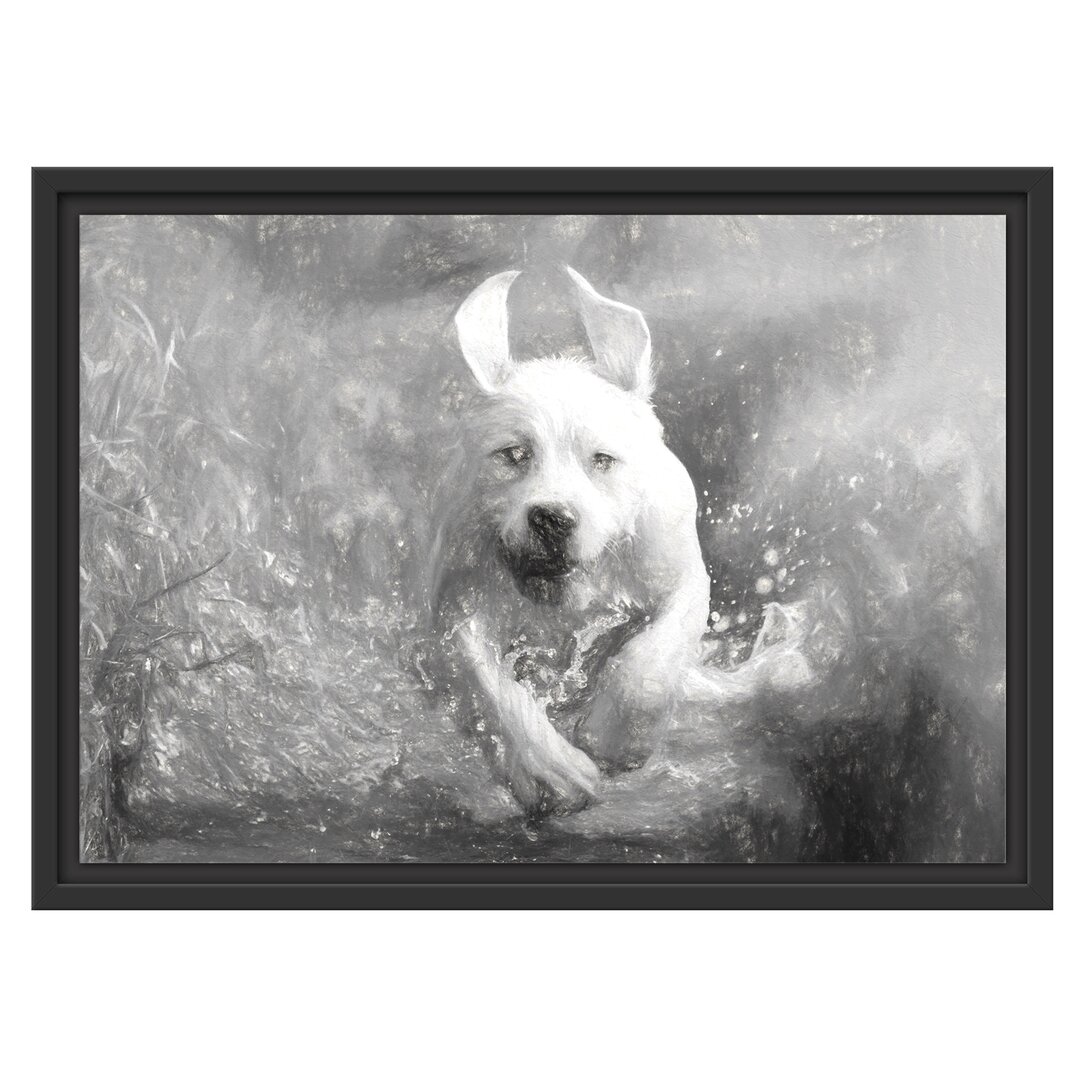 Gerahmtes Wandbild Labrador-Welpe Wasser