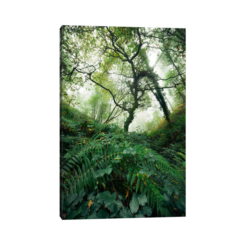 Inside The Woods by Stefan Hefele - Gallery-Wrapped Canvas Giclée on Canvas, 30.48 cm H x 45.72 cm W, Canvas