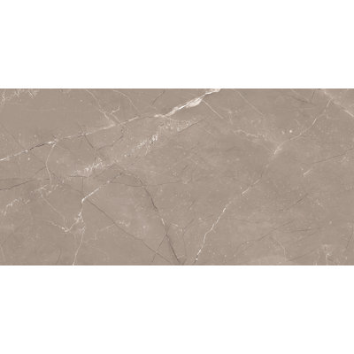 Couvercle de 12 po Kaia x 24 po Carreau de porcelaine mat pour mur et plancher aspect pierre