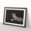 Leopard - Picture Frame Graphic Art Print-56859841-56859838