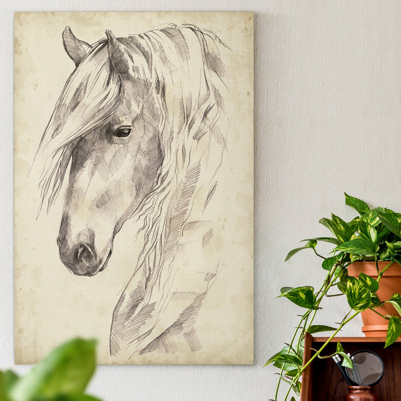 Reproduction d’art sur toile tendue « Horse portrait sketch II », H 36 po x l 24 po x P 1 po