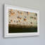« orange parasols », impression encadrée-18344395