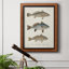 " Species Of Antique Fish III "-961370888-968837327