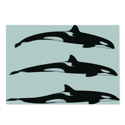 Ambesonne Black White Cutting Board Large Size Orca Killer Whales Black and White