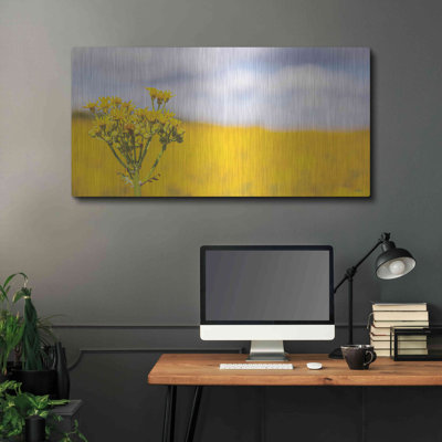Field Of Yellow II' by Donnie Quillen, Metal Wall Art