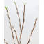 Faux Branch