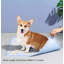 Tapis pour chien (ensemble de 50)