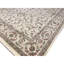 Elegance Oriental Area Rug in Ivory
