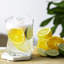 Cassiopea Whisky Glasses-54299985-53918012-53918009