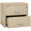 Fireproof 2 - Drawer File Cabinet-331546-217202