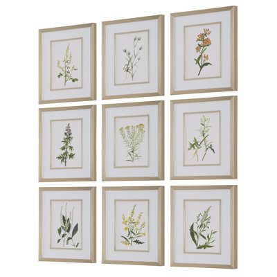 Fleurs botaniques, S / 9