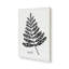 Imprimé botanique noir et blanc II-862507482-856979618