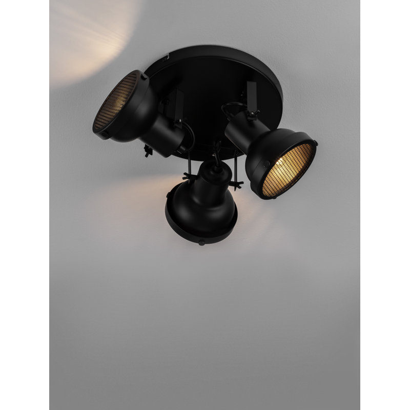 Celep Spotlight
