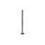 Plinth Sculpture-48423079
