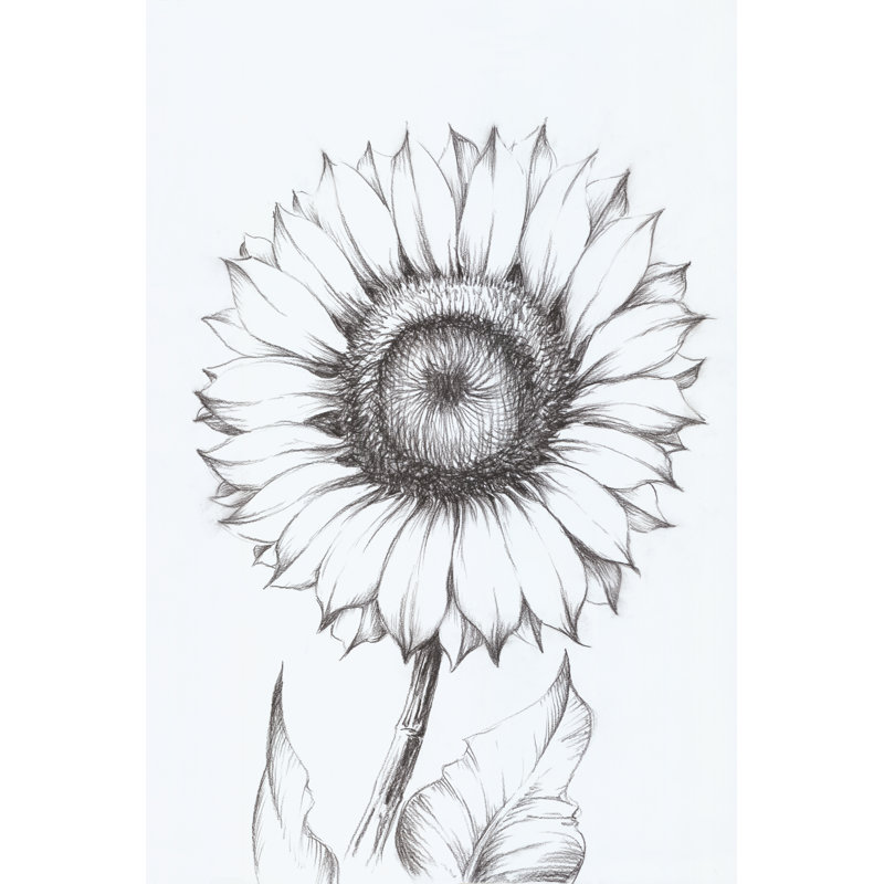 Croquis de tournesol par échelle blanche, H 36 po x l 24 po