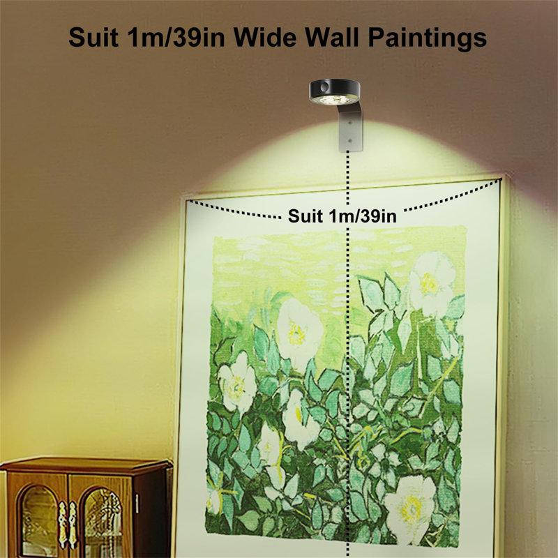 Battery Powered LED Wall Mount Picture Light, Black